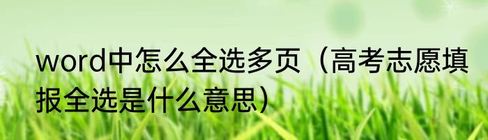 word中怎么全选多页（高考志愿填报全选是什么意思）