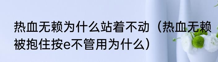 热血无赖为什么站着不动（热血无赖被抱住按e不管用为什么）