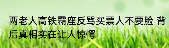 两老人高铁霸座反骂买票人不要脸 背后真相实在让人惊愕
