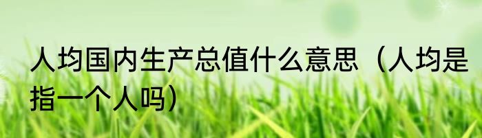 人均国内生产总值什么意思（人均是指一个人吗）