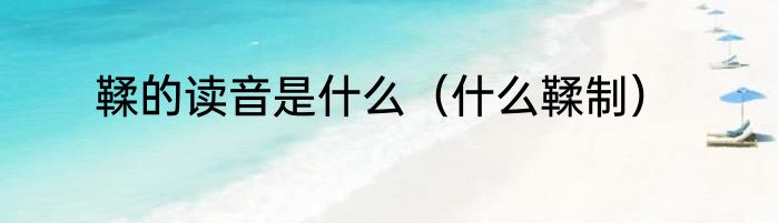 鞣的读音是什么（什么鞣制）