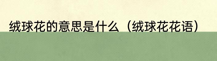 绒球花的意思是什么（绒球花花语）