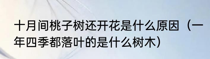 十月间桃子树还开花是什么原因（一年四季都落叶的是什么树木）