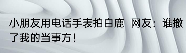 小朋友用电话手表拍白鹿  网友：谁撤了我的当事方！