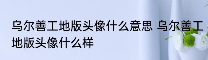 乌尔善工地版头像什么意思 乌尔善工地版头像什么样
