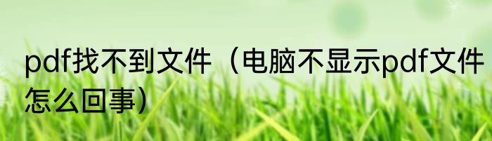 三只猫忽然叼着玩具进入警戒模式  猫咪警戒是什么样子的
