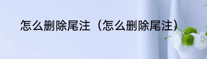 怎么删除尾注（怎么删除尾注）