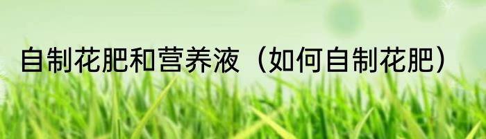 自制花肥和营养液（如何自制花肥）