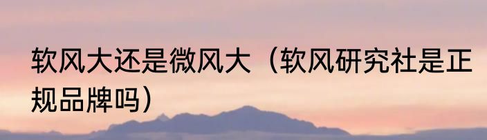 软风大还是微风大（软风研究社是正规品牌吗）