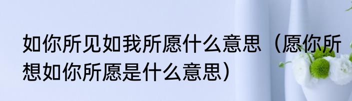 如你所见如我所愿什么意思（愿你所想如你所愿是什么意思）