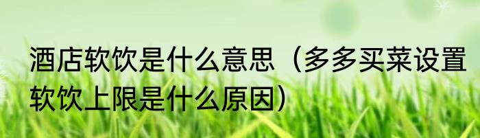 酒店软饮是什么意思（多多买菜设置软饮上限是什么原因）
