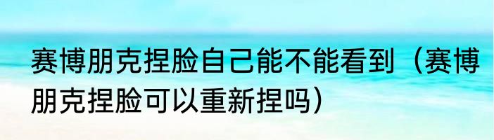 赛博朋克捏脸自己能不能看到（赛博朋克捏脸可以重新捏吗）