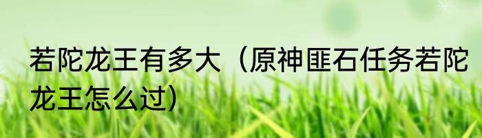 若陀龙王有多大（原神匪石任务若陀龙王怎么过）
