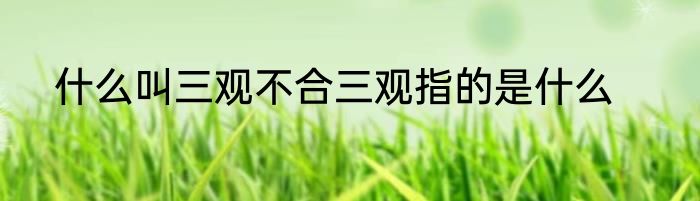 三更半夜三更是指哪（半夜三更是指哪几）