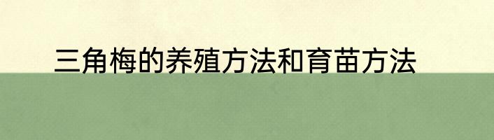 三角梅的养殖方法和育苗方法