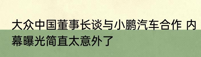大众中国董事长谈与小鹏汽车合作 内幕曝光简直太意外了