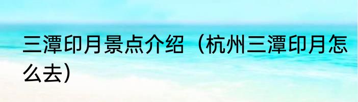 三潭印月景点介绍（杭州三潭印月怎么去）