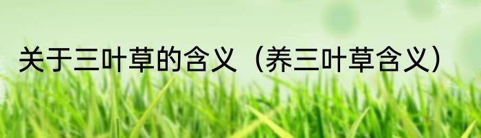 关于三叶草的含义（养三叶草含义）