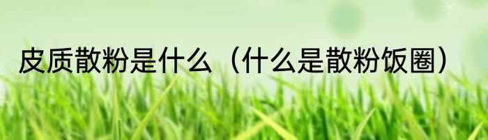 皮质散粉是什么（什么是散粉饭圈）