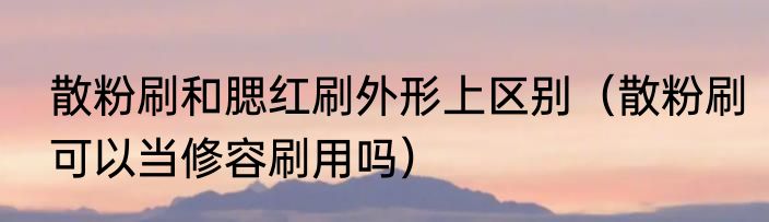 散粉刷和腮红刷外形上区别（散粉刷可以当修容刷用吗）