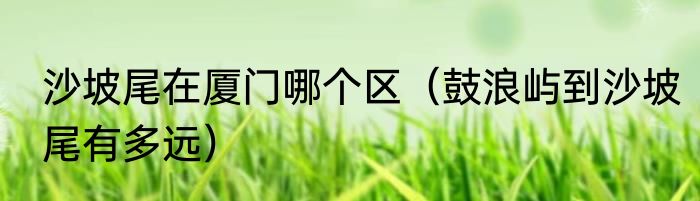 沙坡尾在厦门哪个区（鼓浪屿到沙坡尾有多远）