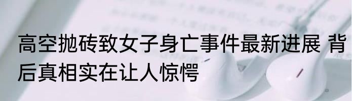 高空抛砖致女子身亡事件最新进展 背后真相实在让人惊愕