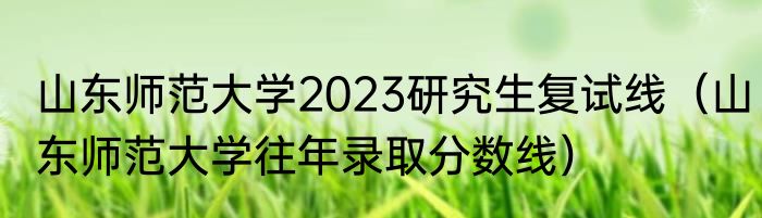 山东师范大学2023研究生复试线（山东师范大学往年录取分数线）