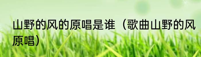 山野的风的原唱是谁（歌曲山野的风原唱）
