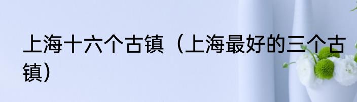 上海十六个古镇（上海最好的三个古镇）