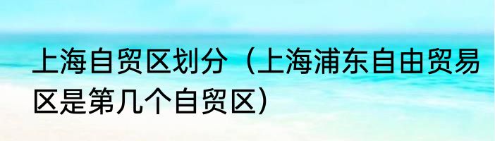 上海自贸区划分（上海浦东自由贸易区是第几个自贸区）