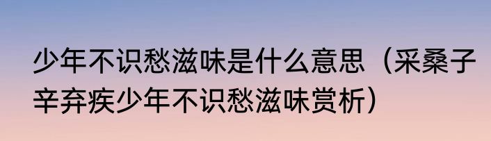 少年不识愁滋味是什么意思（采桑子辛弃疾少年不识愁滋味赏析）
