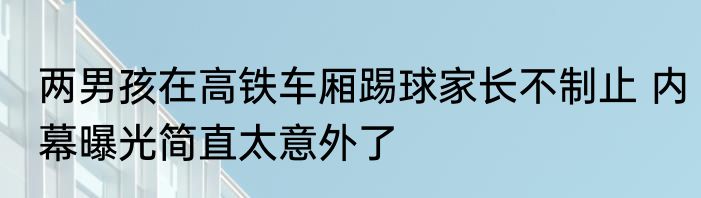 两男孩在高铁车厢踢球家长不制止 内幕曝光简直太意外了