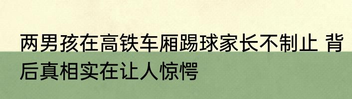两男孩在高铁车厢踢球家长不制止 背后真相实在让人惊愕