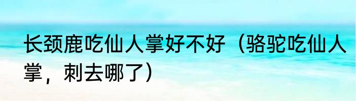 长颈鹿吃仙人掌好不好（骆驼吃仙人掌，刺去哪了）