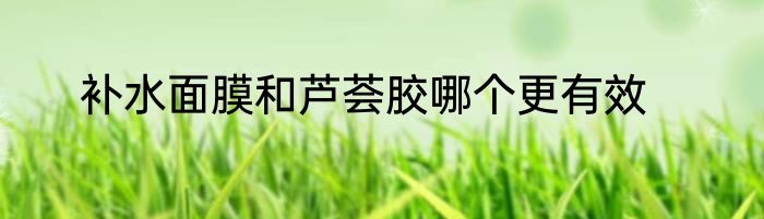 补水面膜和芦荟胶哪个更有效