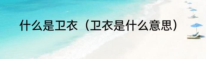 什么是卫衣（卫衣是什么意思）