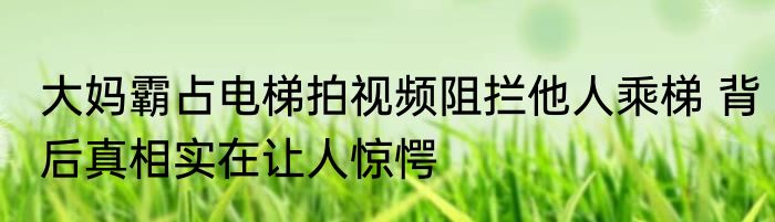 大妈霸占电梯拍视频阻拦他人乘梯 背后真相实在让人惊愕