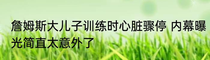 詹姆斯大儿子训练时心脏骤停 内幕曝光简直太意外了