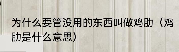 为什么要管没用的东西叫做鸡肋（鸡肋是什么意思）