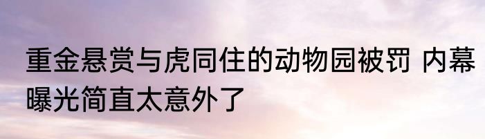 重金悬赏与虎同住的动物园被罚 内幕曝光简直太意外了