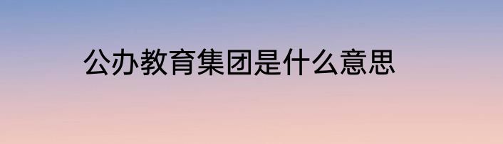 公办教育集团是什么意思
