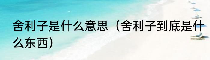 舍利子是什么意思（舍利子到底是什么东西）