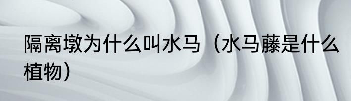 隔离墩为什么叫水马（水马藤是什么植物）