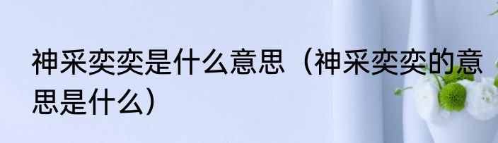 神采奕奕是什么意思（神采奕奕的意思是什么）