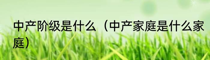 中产阶级是什么（中产家庭是什么家庭）