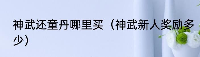 神武还童丹哪里买（神武新人奖励多少）