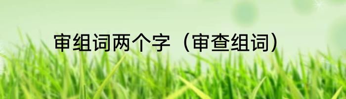 审组词两个字（审查组词）