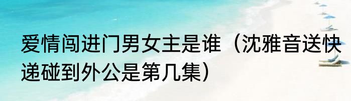 爱情闯进门男女主是谁（沈雅音送快递碰到外公是第几集）