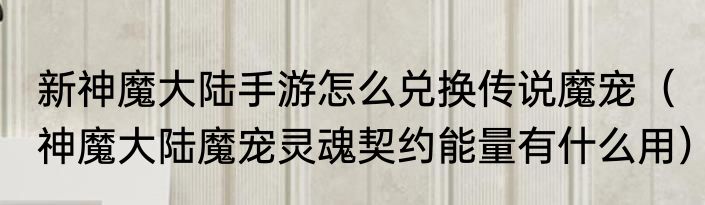新神魔大陆手游怎么兑换传说魔宠（神魔大陆魔宠灵魂契约能量有什么用）