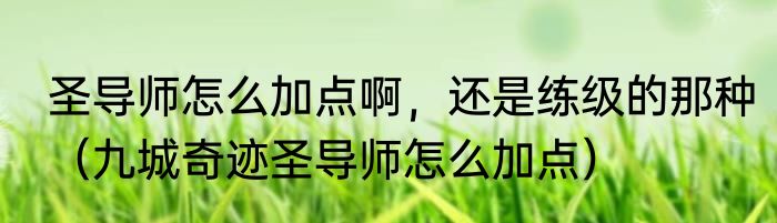 圣导师怎么加点啊，还是练级的那种（九城奇迹圣导师怎么加点）